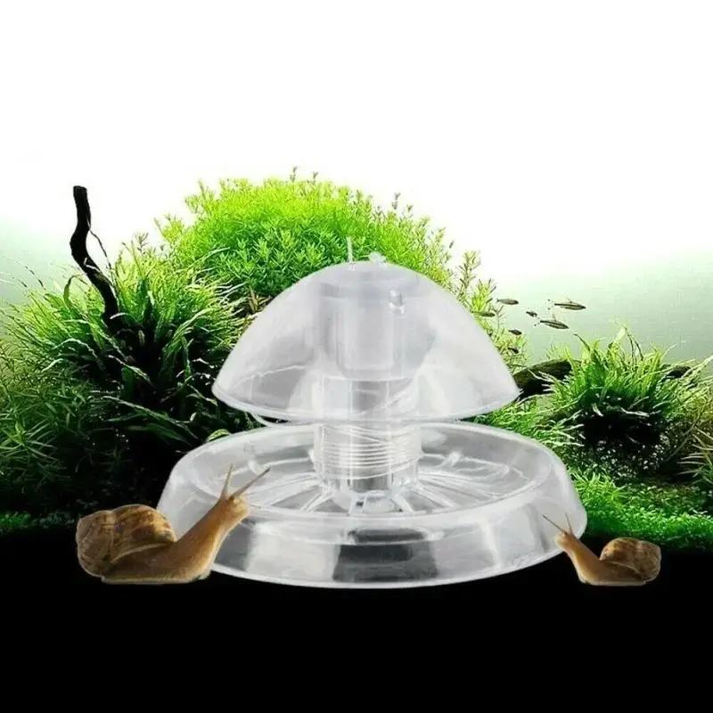 Aquarium Planted Fish Tank - 2026 Nowa przezroczysta plastikowa pułapka na