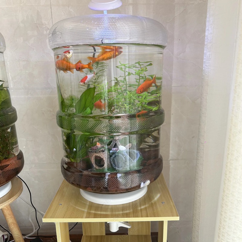 Aquarium Planted Setup - Akwarium domowe z natychmiastowym montażem, 30x30cm,