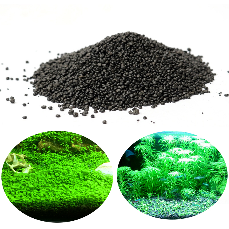Woda akwariowa trawa błoto nas – Aquarium Plant Seeds recenzja i cena