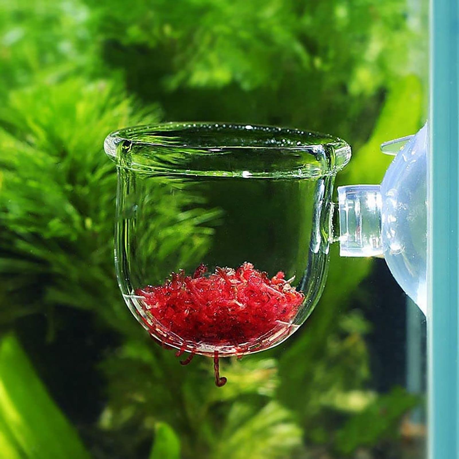 Cylinder szklany z przyssawkam – Aquarium Plant Seeds recenzja i cena