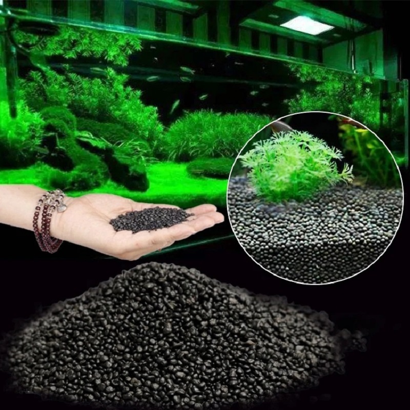 Żwirek do akwarium, rośliny wo – Aquarium Plant Seeds recenzja i cena
