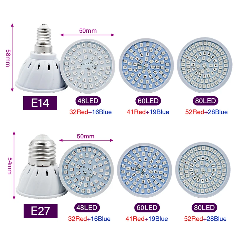 Phyto Lamp Full Spectrum LED G – Led Planted Tank Light recenzja i cena
