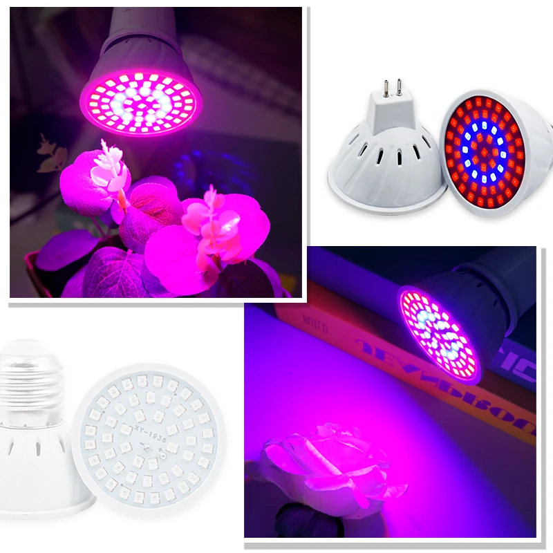 Phyto Lamp Full Spectrum LED G – Led Planted Tank Light recenzja i cena