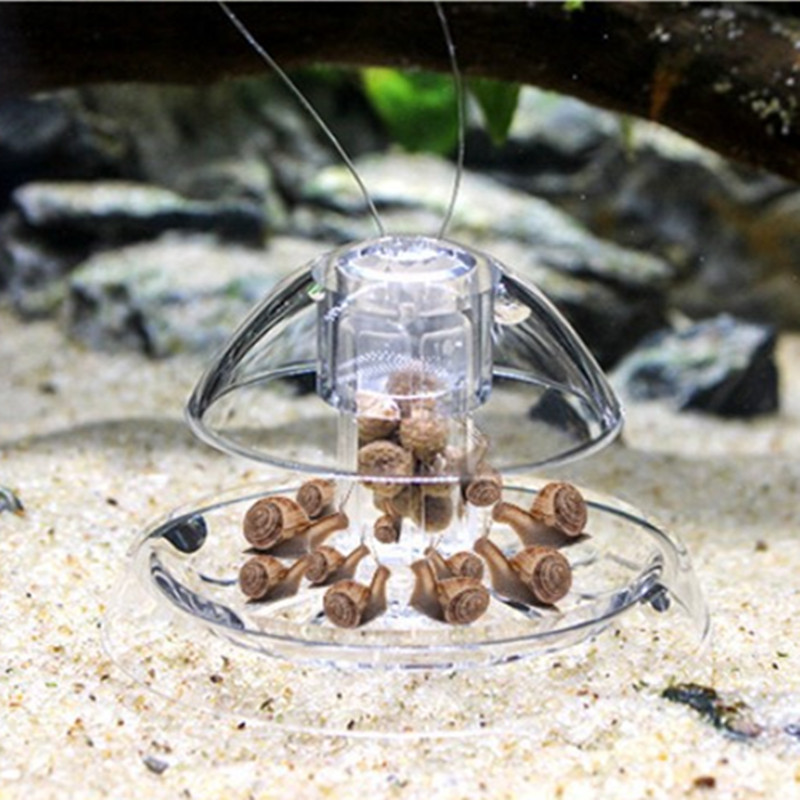 1PCS Fish Tank Aquarium Cleane – Aquarium Planted Fish Tank recenzja i cena