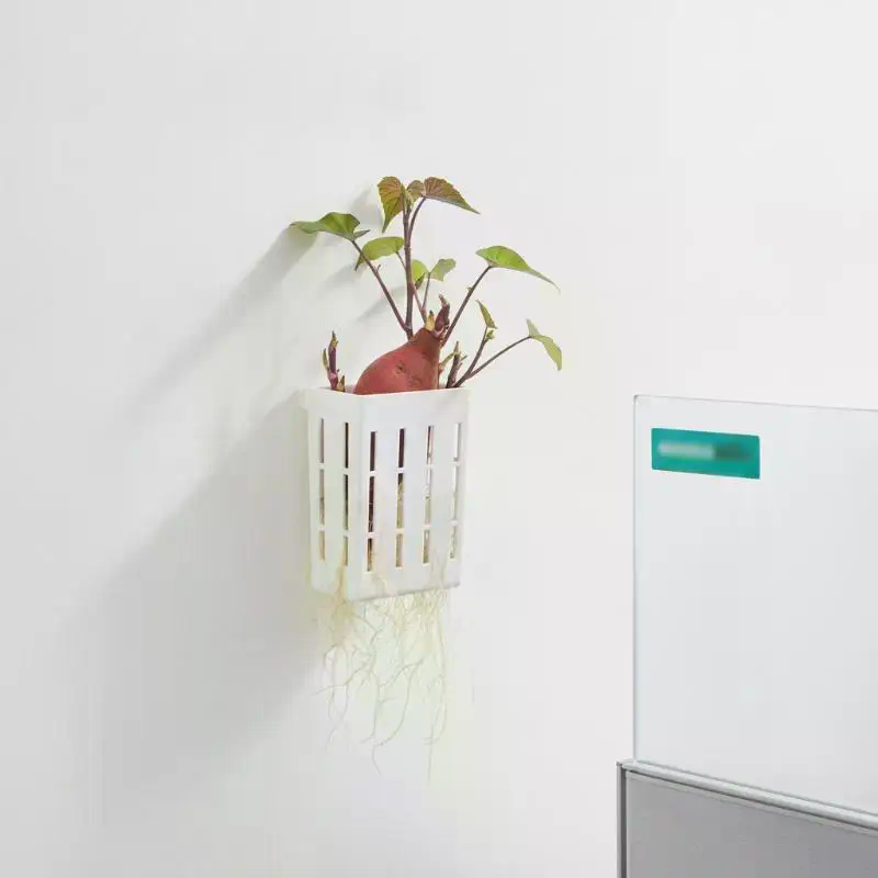1 szt. Koszyk wspierający do h – Aquarium Planted Fish Tank recenzja i cena
