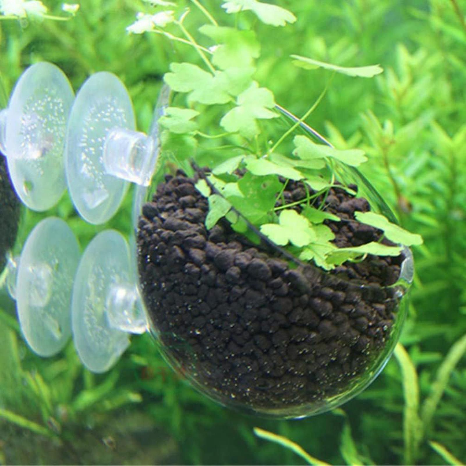Szklany uchwyt na rośliny akwa – Planted Aquarium Media recenzja i cena