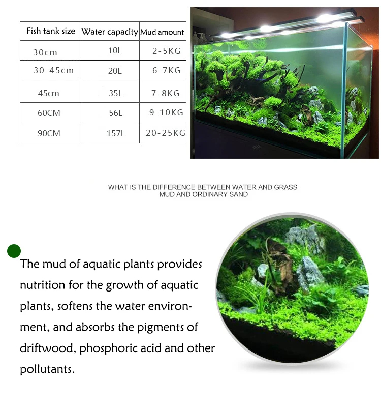 Błoto z trawy zbiornik wody ry – Aquarium Plant Seeds recenzja i cena