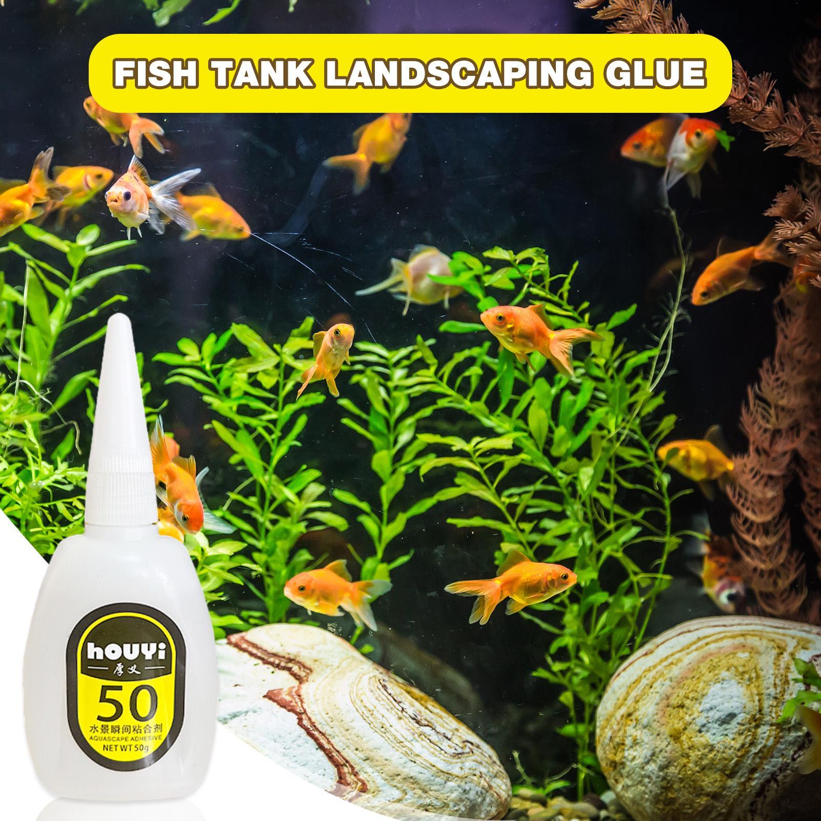 50/100g Przezroczysty Klej Bły – Aquarium Plant Glue recenzja i cena