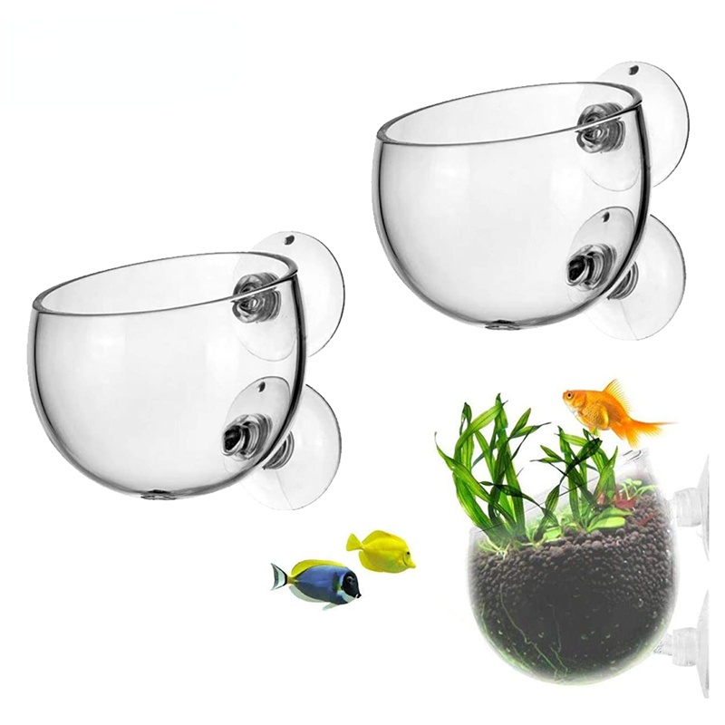 Nowy szklany cylinder do upraw – Aquarium Plant Seeds recenzja i cena