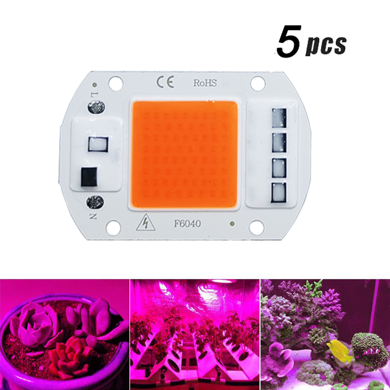 5Pcs LED Grow COB Light Chip F – Led Planted Tank Light recenzja i cena