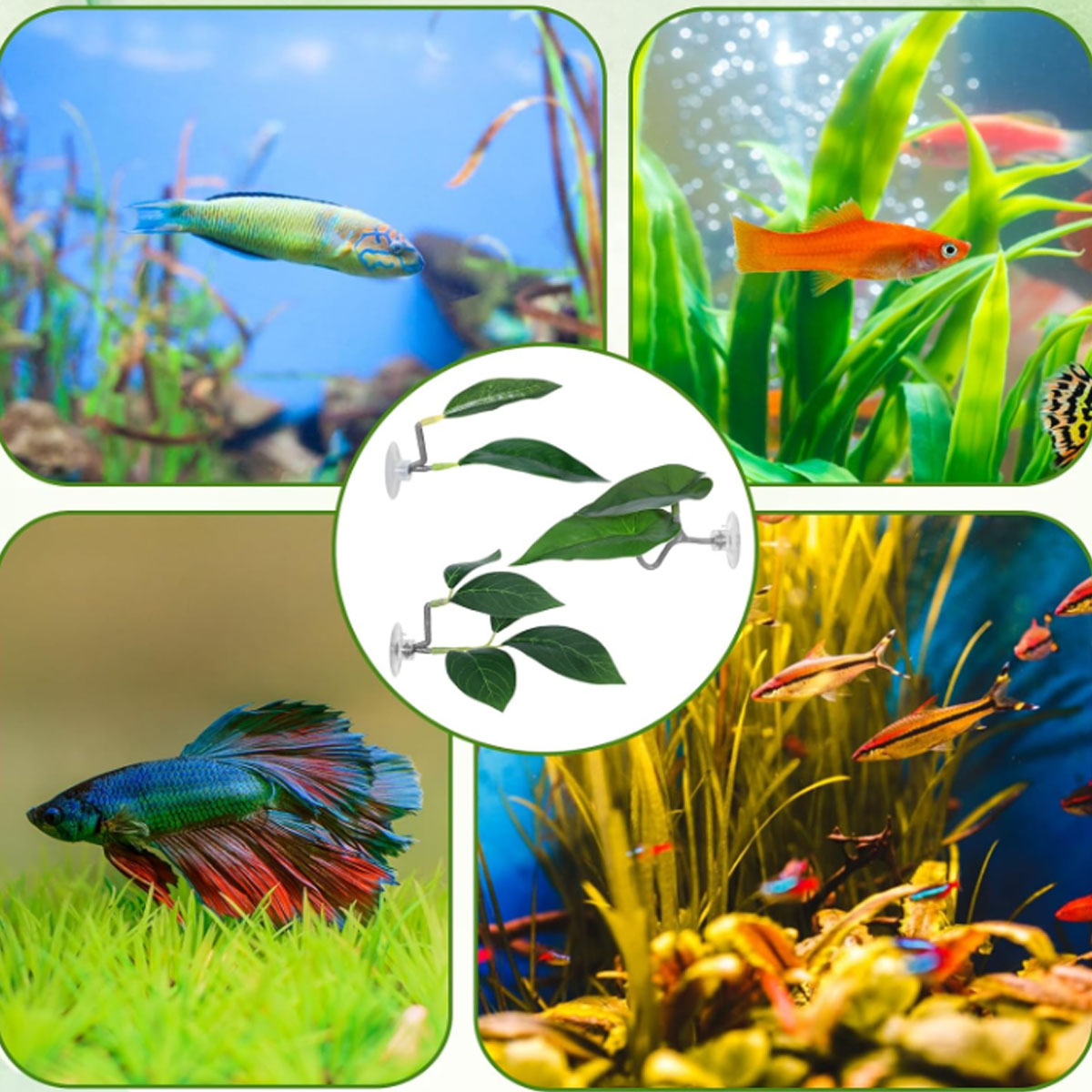 Hamak dla rybki Betta, miękki  – Planted Aquarium Materials recenzja i cena