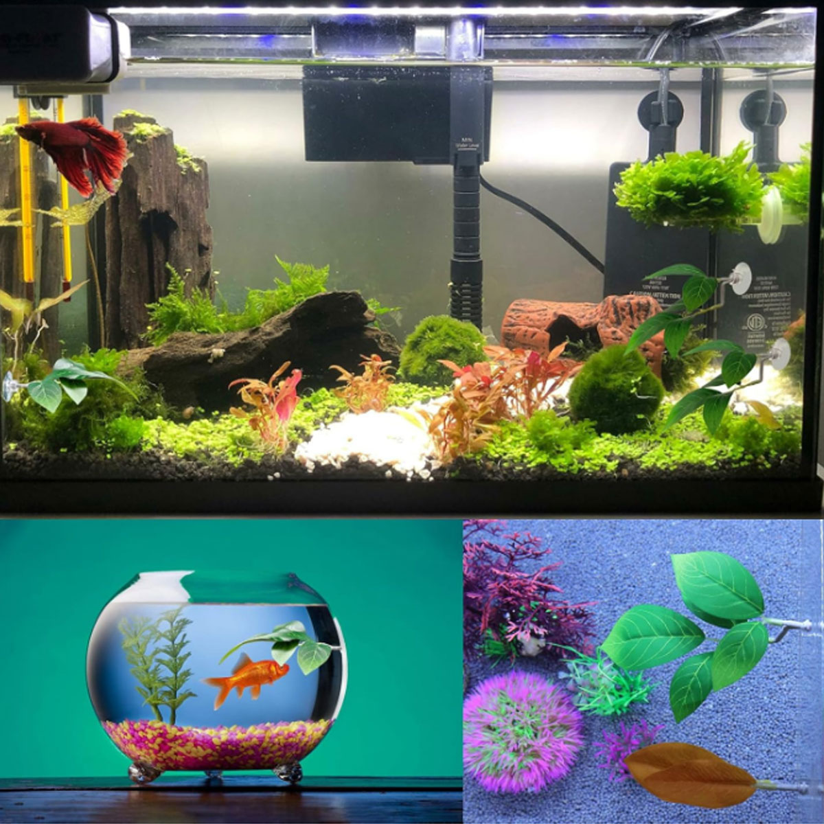 Hamak dla rybki Betta, miękki  – Planted Aquarium Materials recenzja i cena