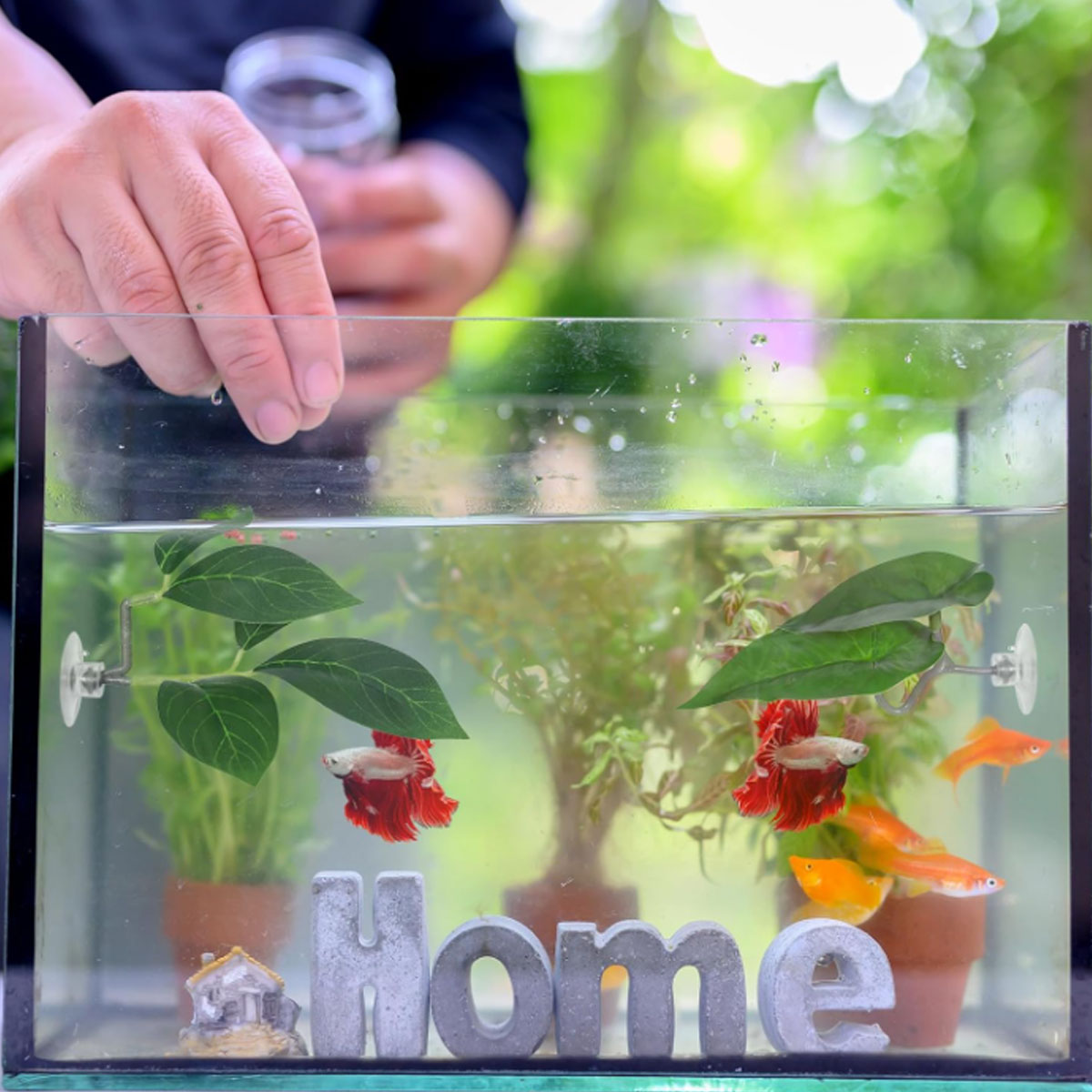 Hamak dla rybki Betta, miękki  – Planted Aquarium Materials recenzja i cena