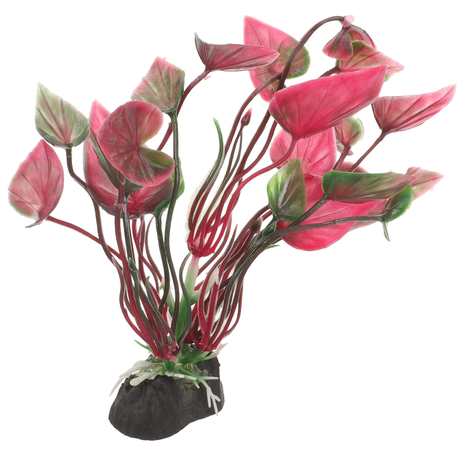 Realistyczne plastikowe roślin – Aquarium Planted Setup recenzja i cena