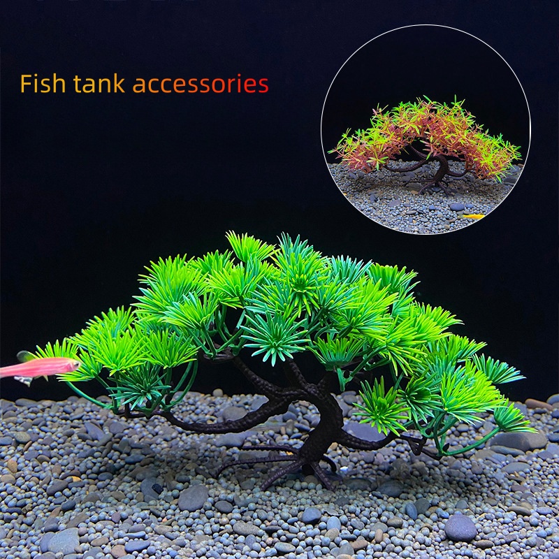 Drzewko bonsai do akwarium, ro – Aquarium Plant Seeds recenzja i cena
