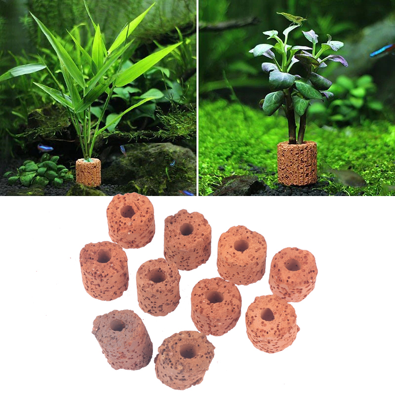 ^10 szt. Pierścieni do roślin  – Planted Aquarium Media recenzja i cena
