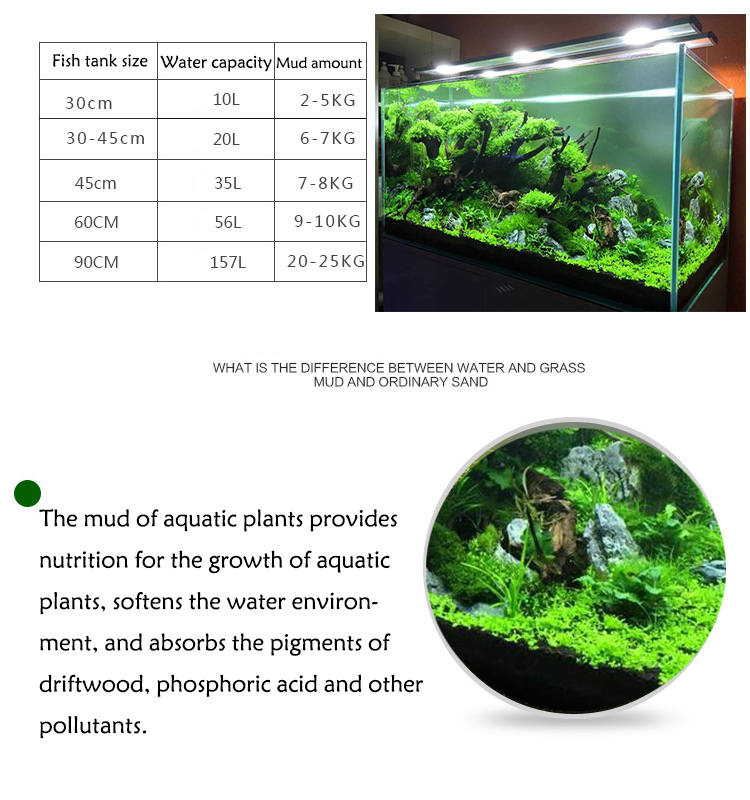 Roślina akwariowa nasiona gleb – Aquarium Planted Fish Tank recenzja i cena