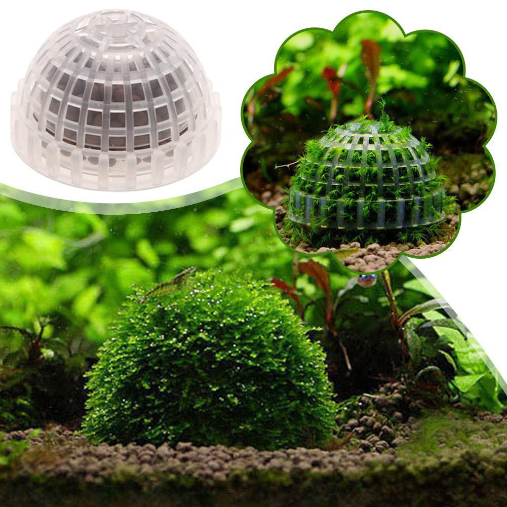 1-5 SZT. Dekoracyjne rośliny d – Aquarium Plant Red recenzja i cena