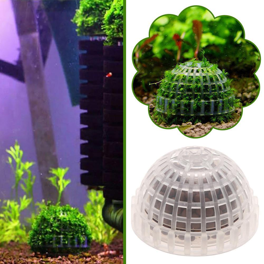 1-5 SZT. Dekoracyjne rośliny d – Aquarium Plant Red recenzja i cena
