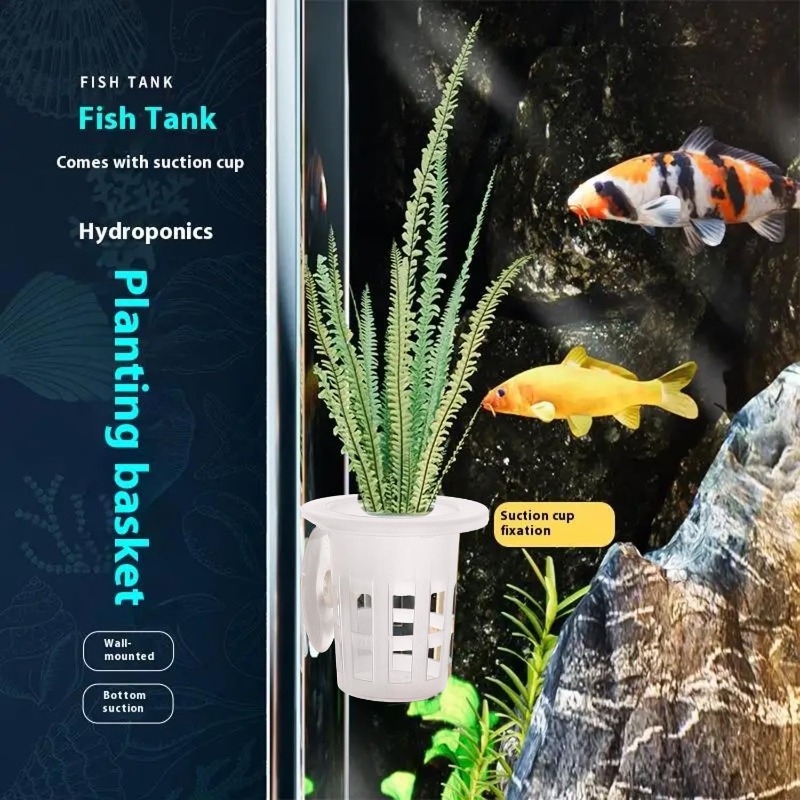 10/20/30 szt. plastikowych kub – Planted Aquarium Materials recenzja i cena