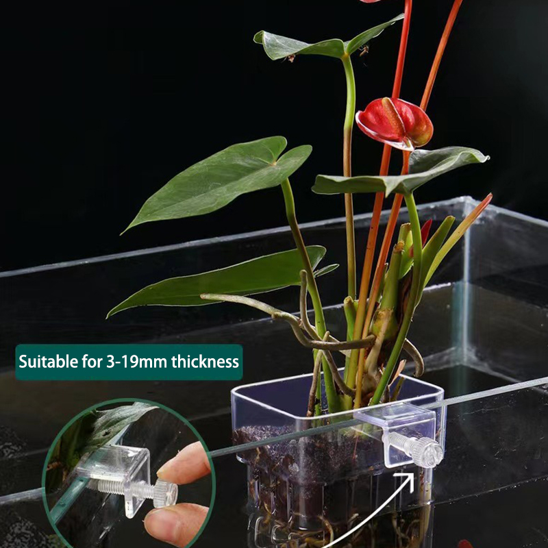 Wielofunkcyjny akwarium dla ry – Aquarium Planted Fish Tank recenzja i cena