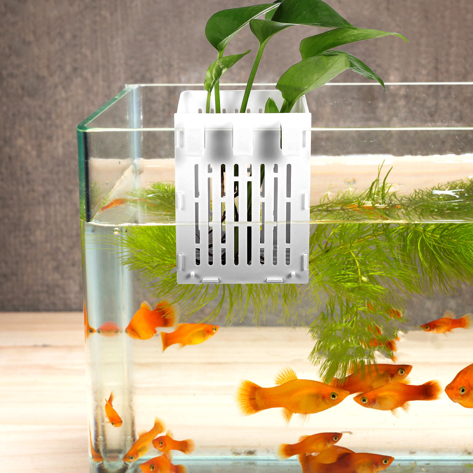 2 szt. Wiszący koszyk na rośli – Aquarium Planted Setup recenzja i cena