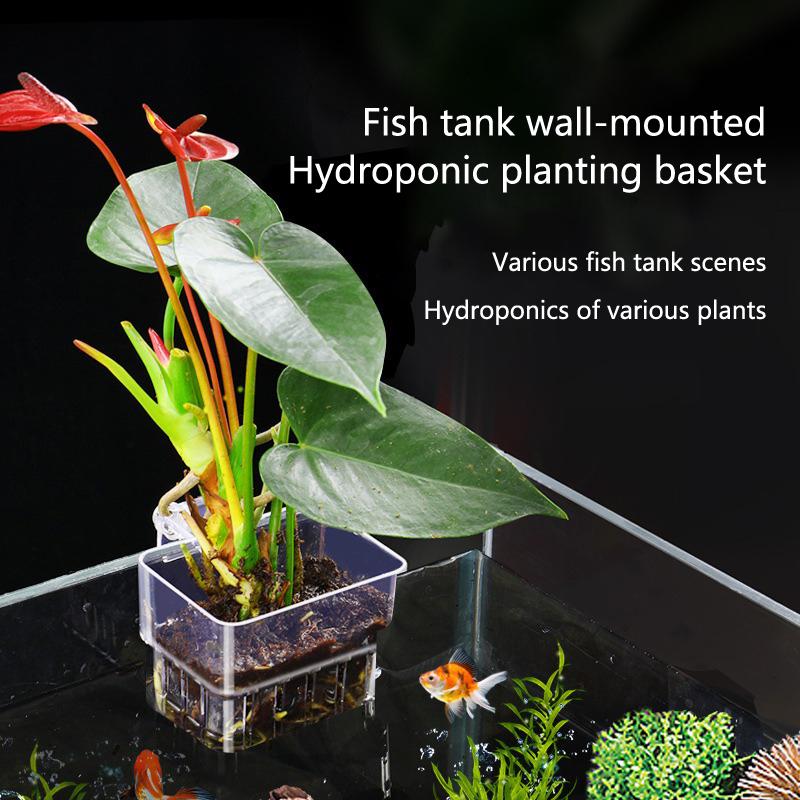 Kubek do hydroponicznego upraw – Aquarium Planted Setup recenzja i cena