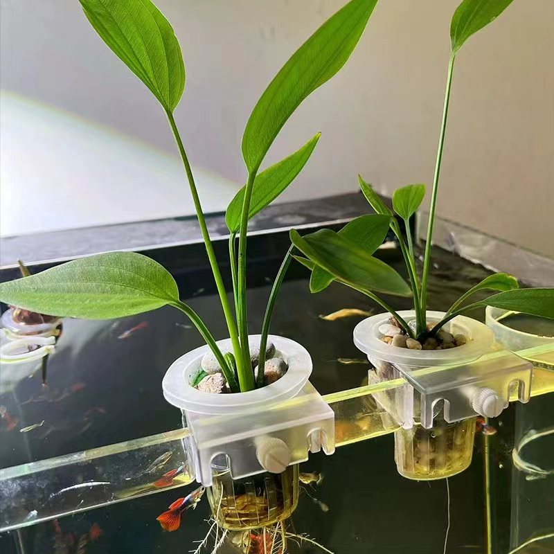 Kosz do sadzenia akwarium Hydr – Planted Aquarium Materials recenzja i cena