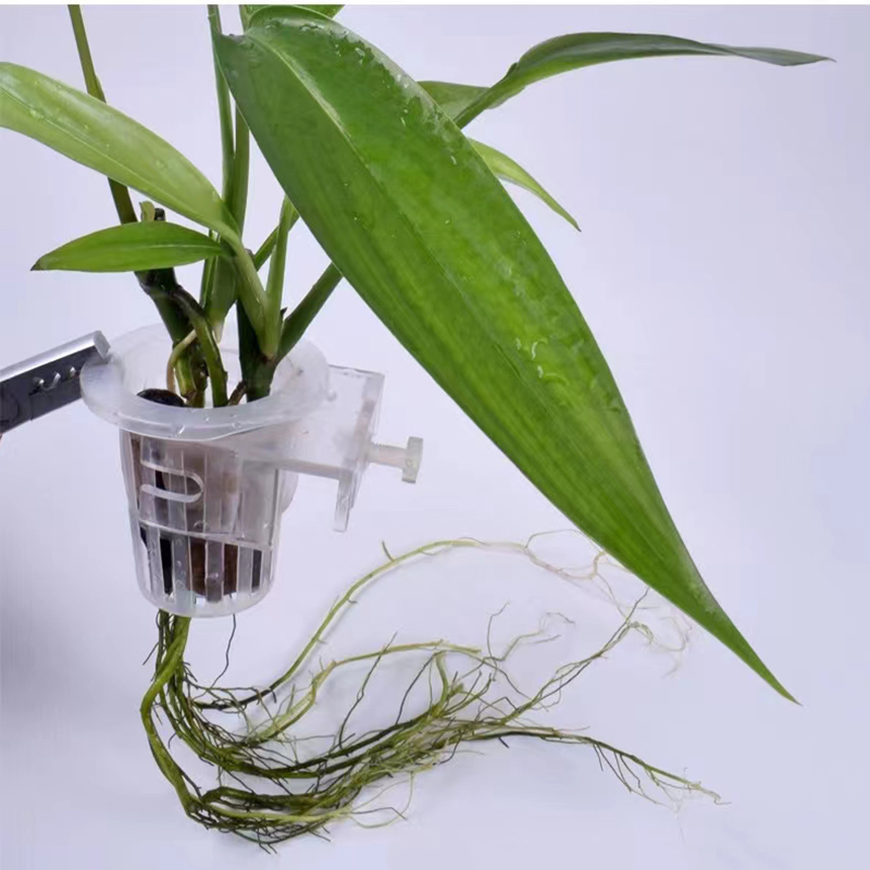 Kosz do sadzenia akwarium Hydr – Planted Aquarium Materials recenzja i cena