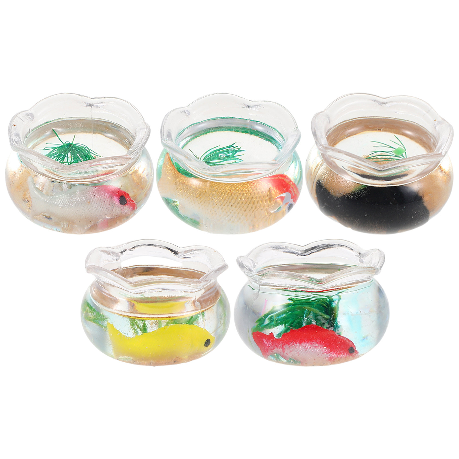 5 szt. miniaturowych akwariów  – Aquarium Planted Fish Tank recenzja i cena