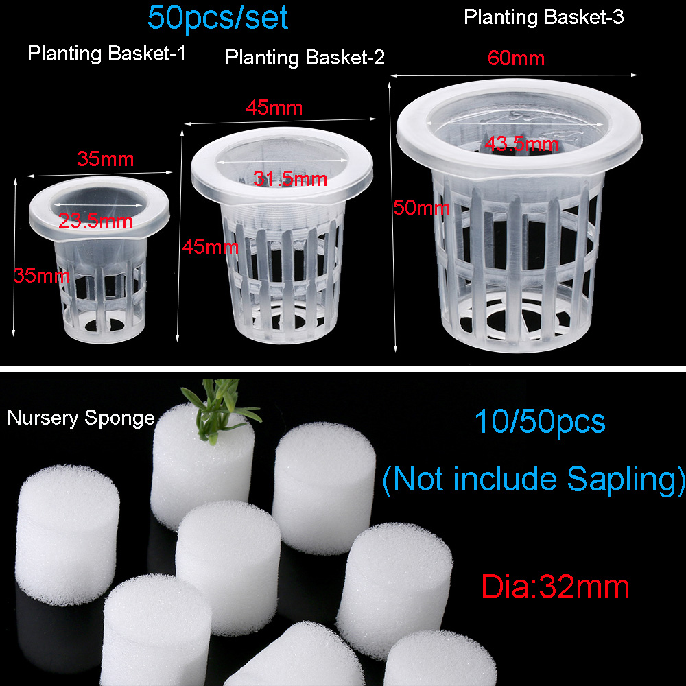 10/50 szt. Akcesoria ogrodowe  – Aquarium Plant Seeds recenzja i cena